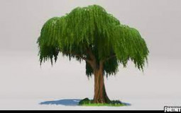 ja,sgdaj Trees